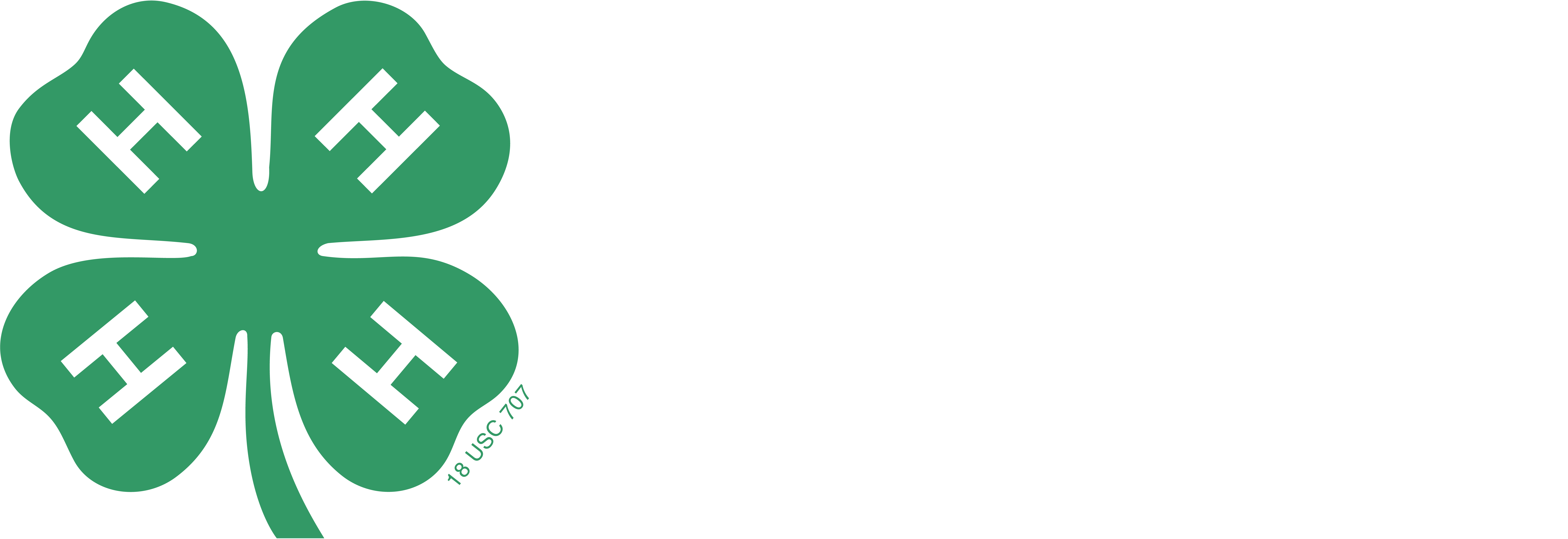 Beyond Ready Logo White & Green)